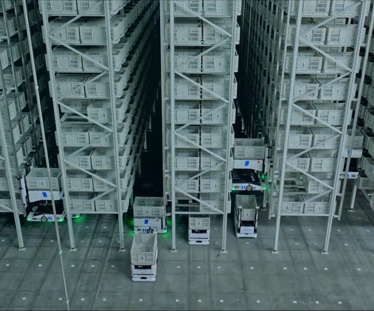 Bosideng case study video