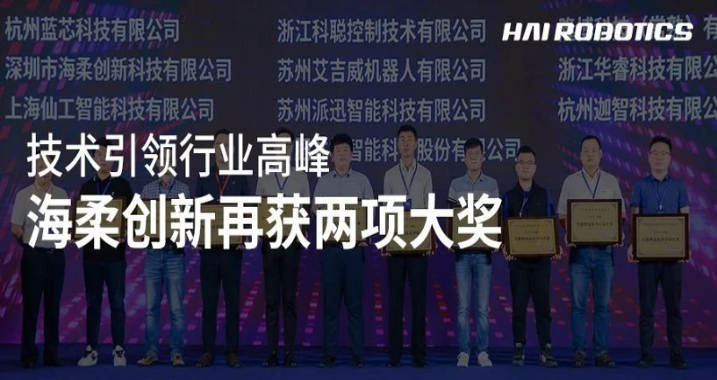 技术引领行业高峰，海柔创新再获两项大奖