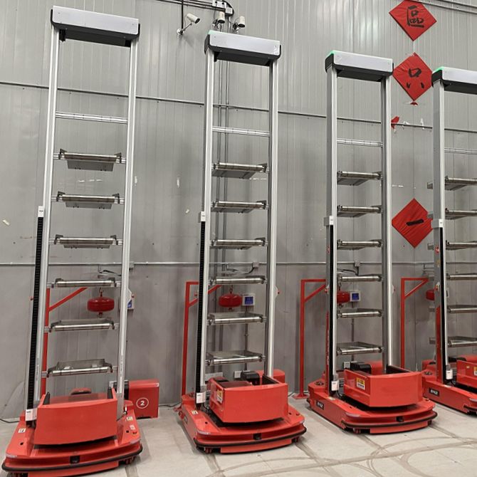 中國某電商巨頭保健品倉