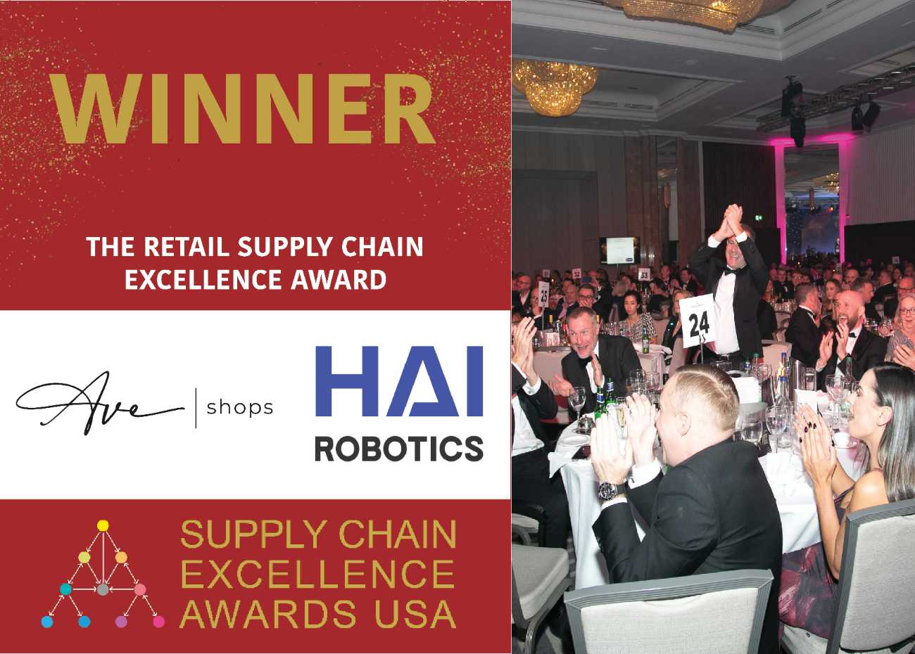 Hai Robotics Wins Retail Supply Chain Excellence Award at Supply Chain Excellence Awards USA 2024