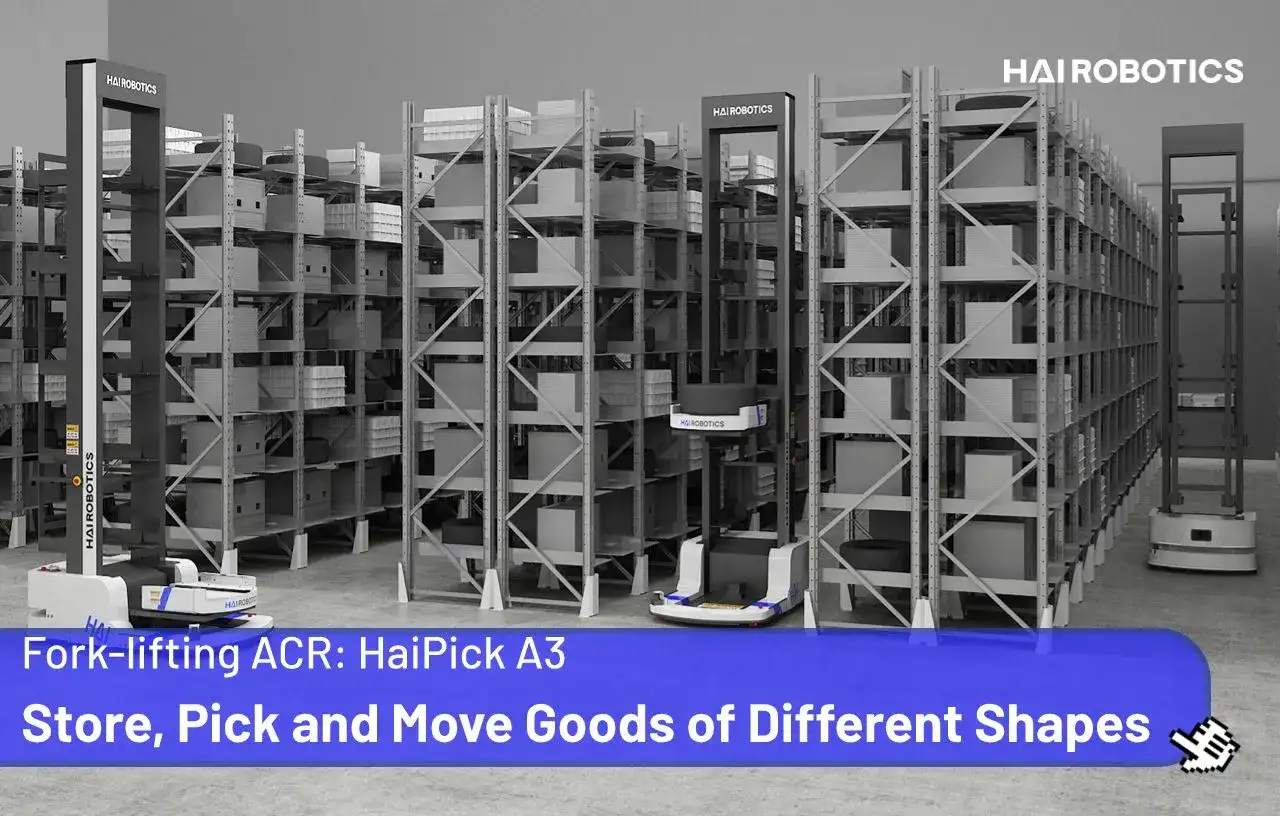HaiPick A3: Store, Pick and Move Goods of Different Shapes