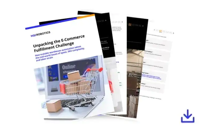 Unpacking the E-Commerce Fulfillment Challenge