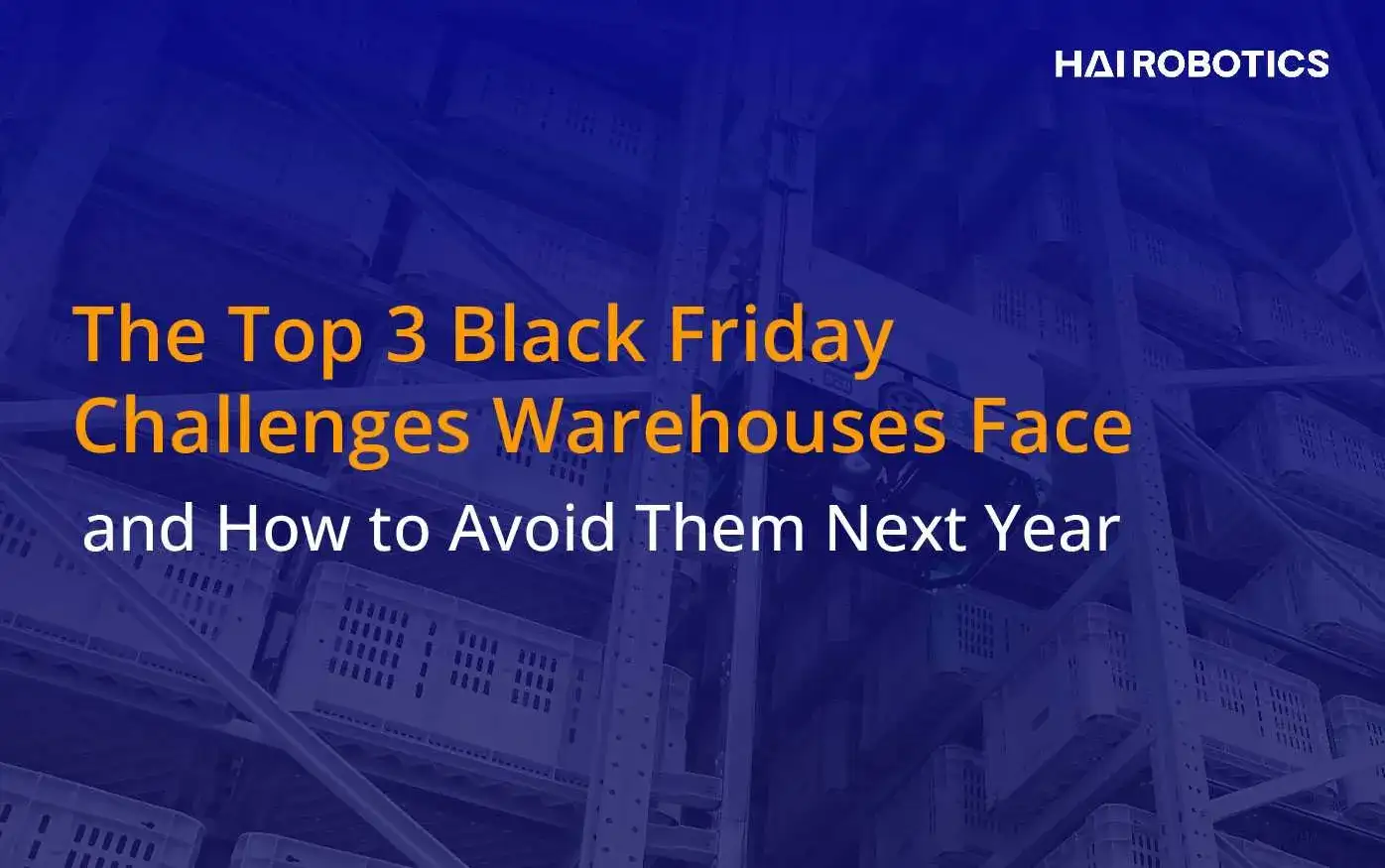 The Top 3 Black Friday Challenges Warehouses Face and How to Avoid Them Next Year
