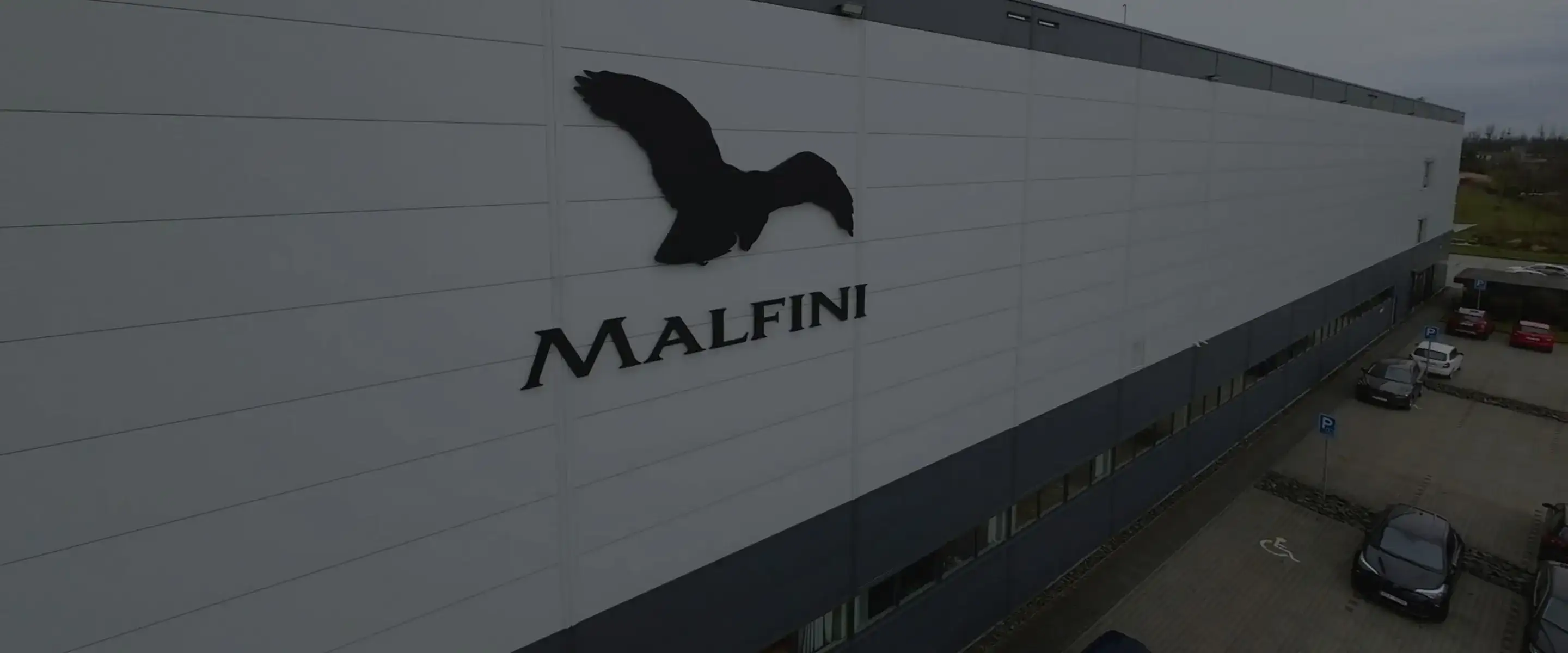 Malfini